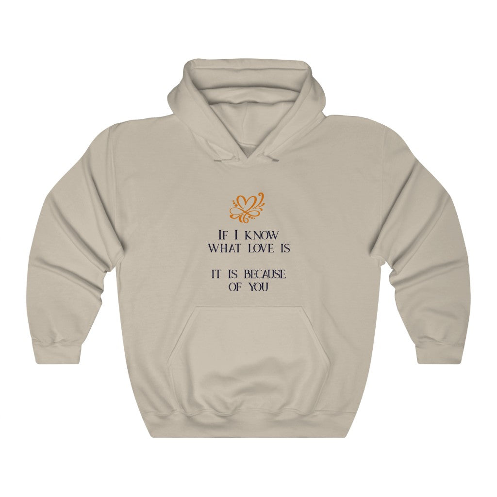 IF I KNOW WHAT LOVE IS IT IS BECAUSE OF YOU Unisex Heavy Blend™ Hooded Sweatshirt