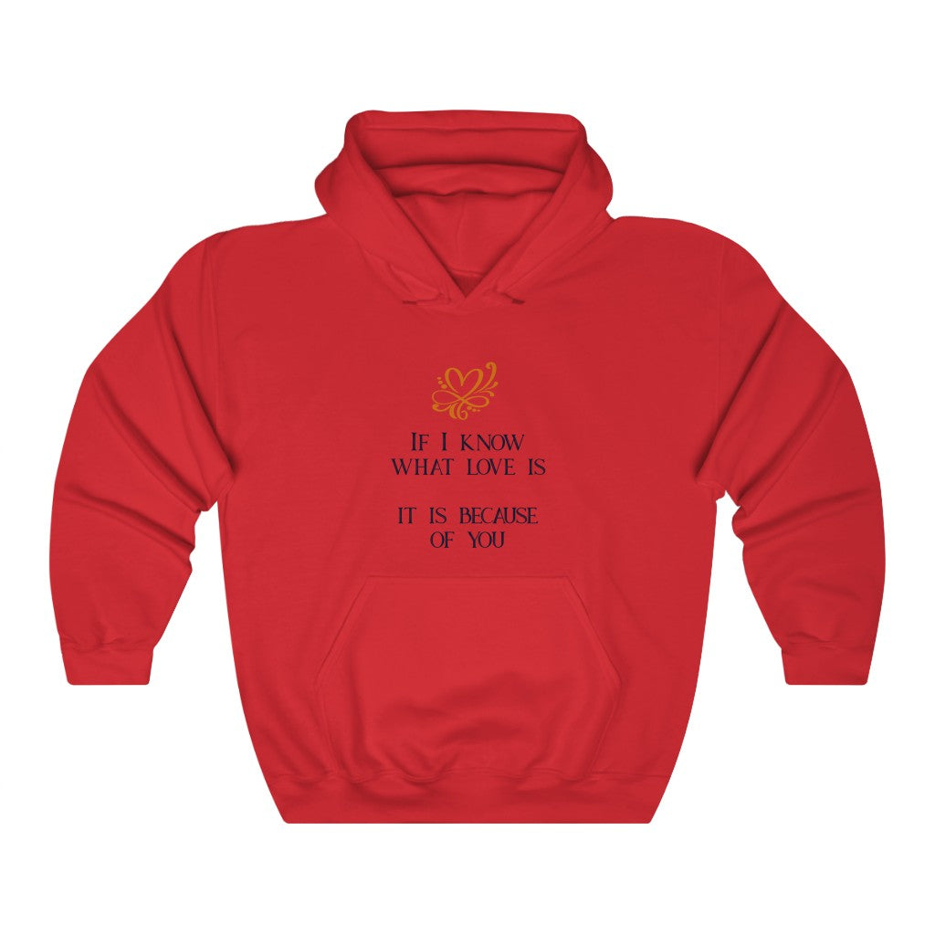 IF I KNOW WHAT LOVE IS IT IS BECAUSE OF YOU Unisex Heavy Blend™ Hooded Sweatshirt