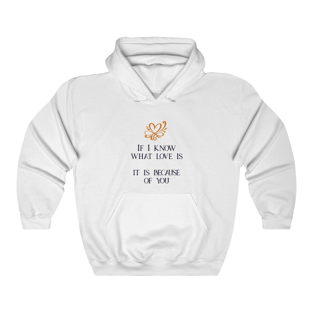 IF I KNOW WHAT LOVE IS IT IS BECAUSE OF YOU Unisex Heavy Blend™ Hooded Sweatshirt